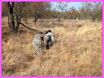 smallAfrika-2010-043