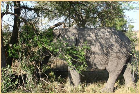 kruger20102