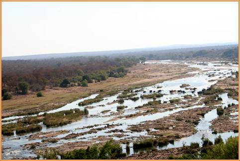 kruger20101